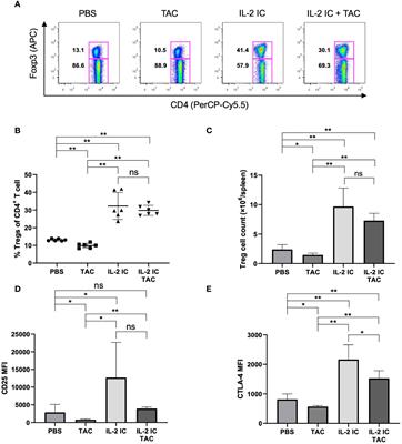 Concomitant use of interleukin-2 and tacrolimus suppresses follicular helper T cell proportion and exerts therapeutic effect against lupus nephritis in systemic lupus erythematosus-like chronic graft versus host disease